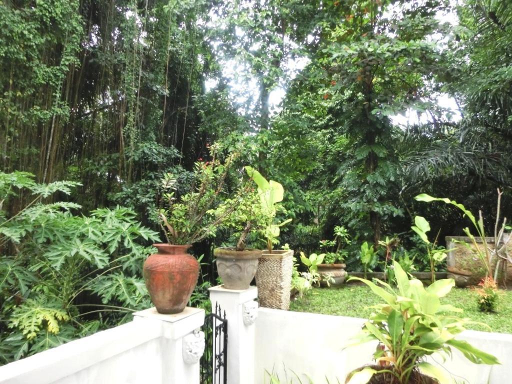 Latugu Homestay Ubud الغرفة الصورة